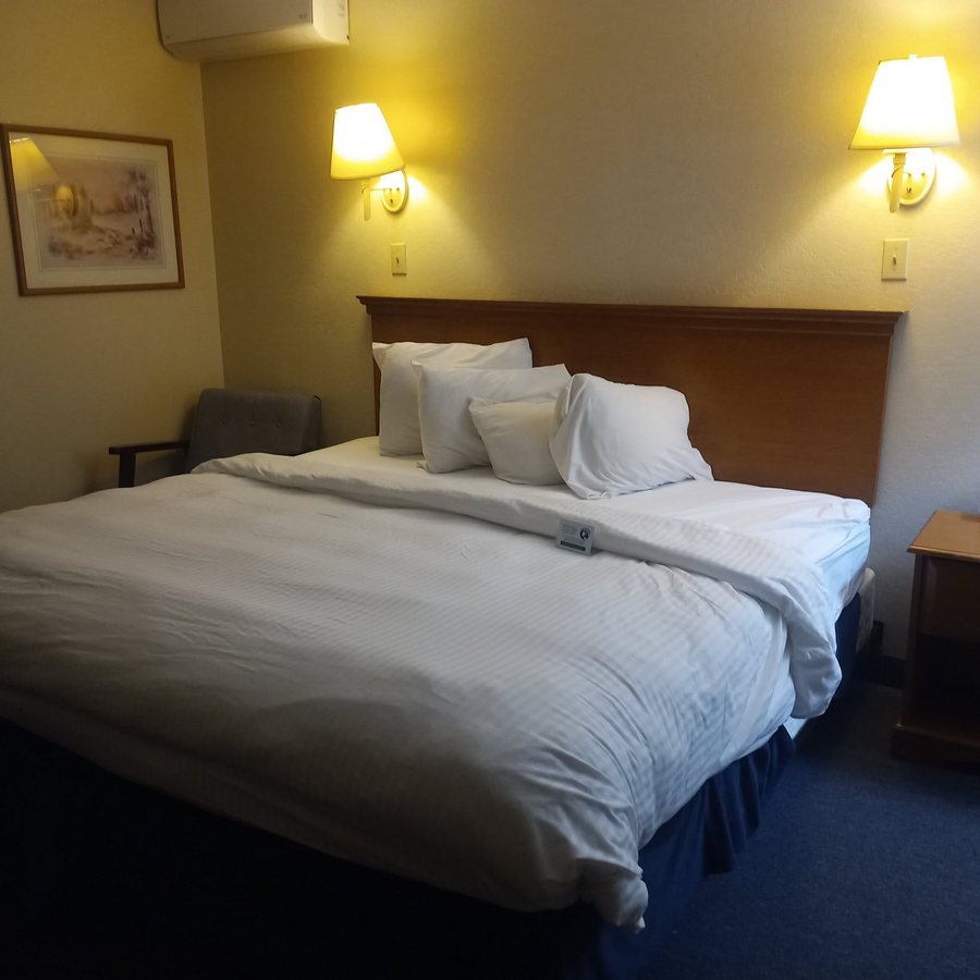 Newport City Inn Suites — Guest room