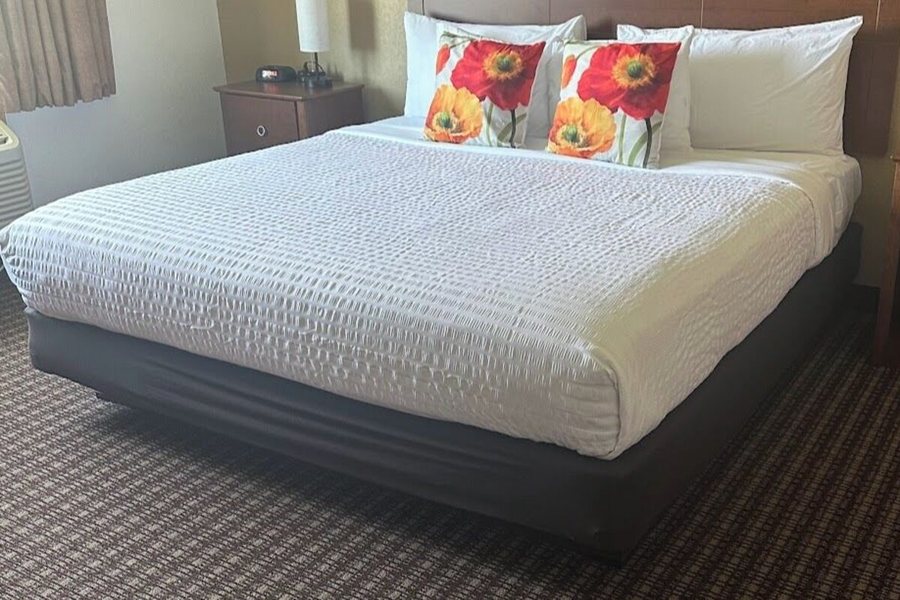 Nichols Inn of Red Wing — Guest room