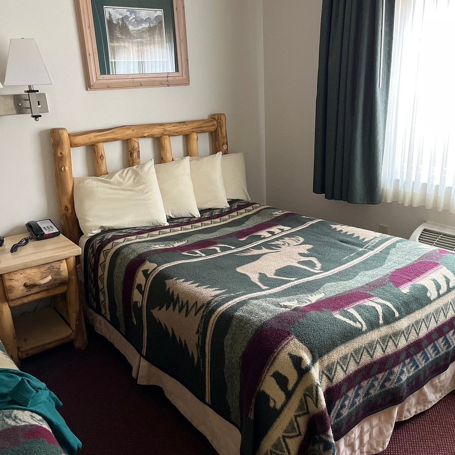 North Park Inn Suites — Guest room