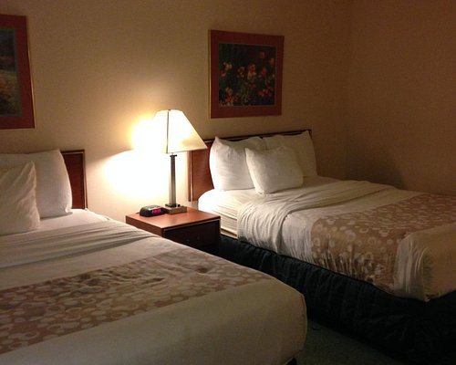Norwood Inn Suites Indianapolis — Guest room