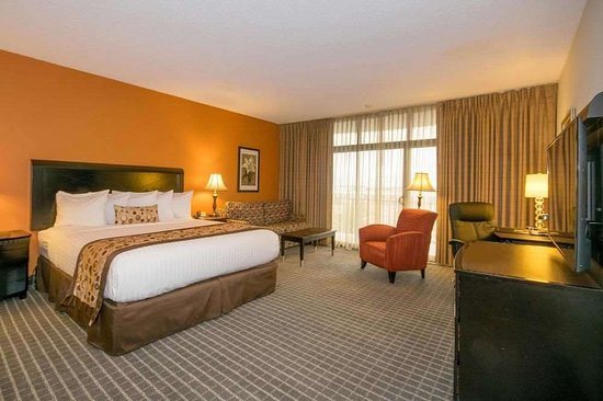 Oakland Airport Executive Hotel — Guest room