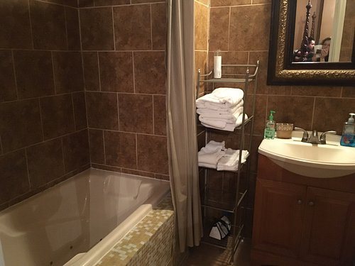 Oakview Bed and Breakfast — Bathroom
