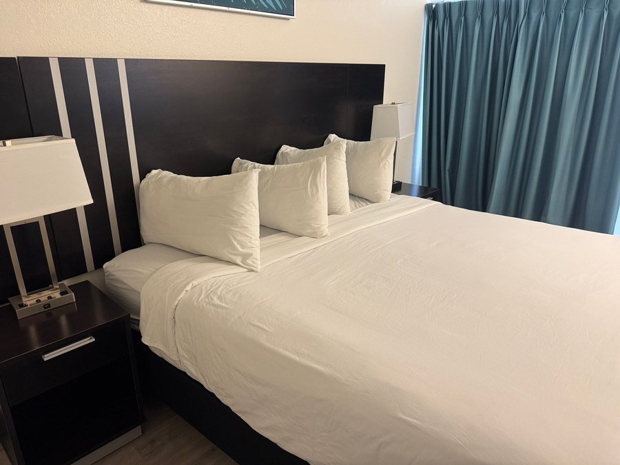 Oasis Bay Suites — Guest room