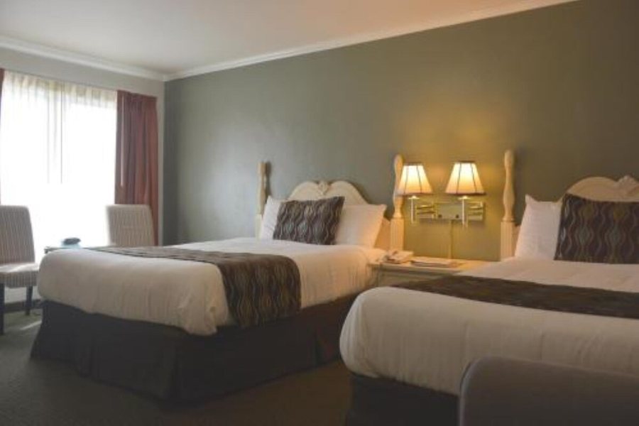 Oasis Inn and Suites — Guest room