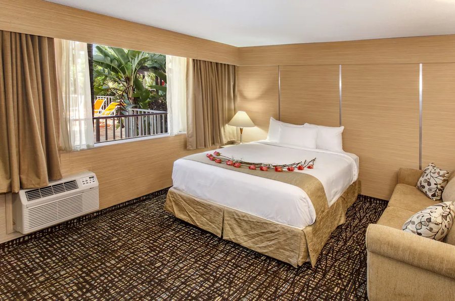Ocean Beach Palace Hotel and Suites — Guest room
