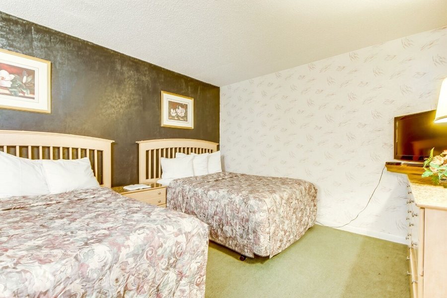 Ocean Forest Plaza — Guest room
