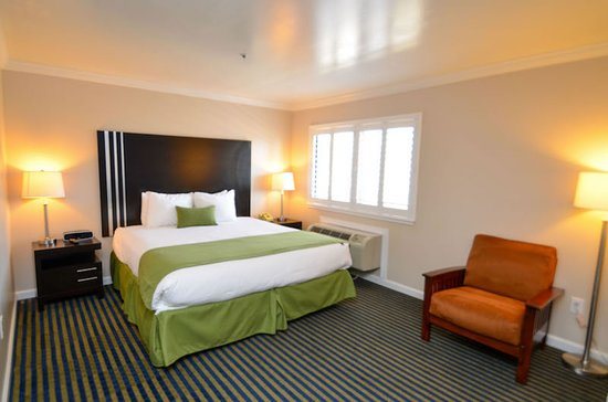 Ocean Pacific Lodge — Guest room