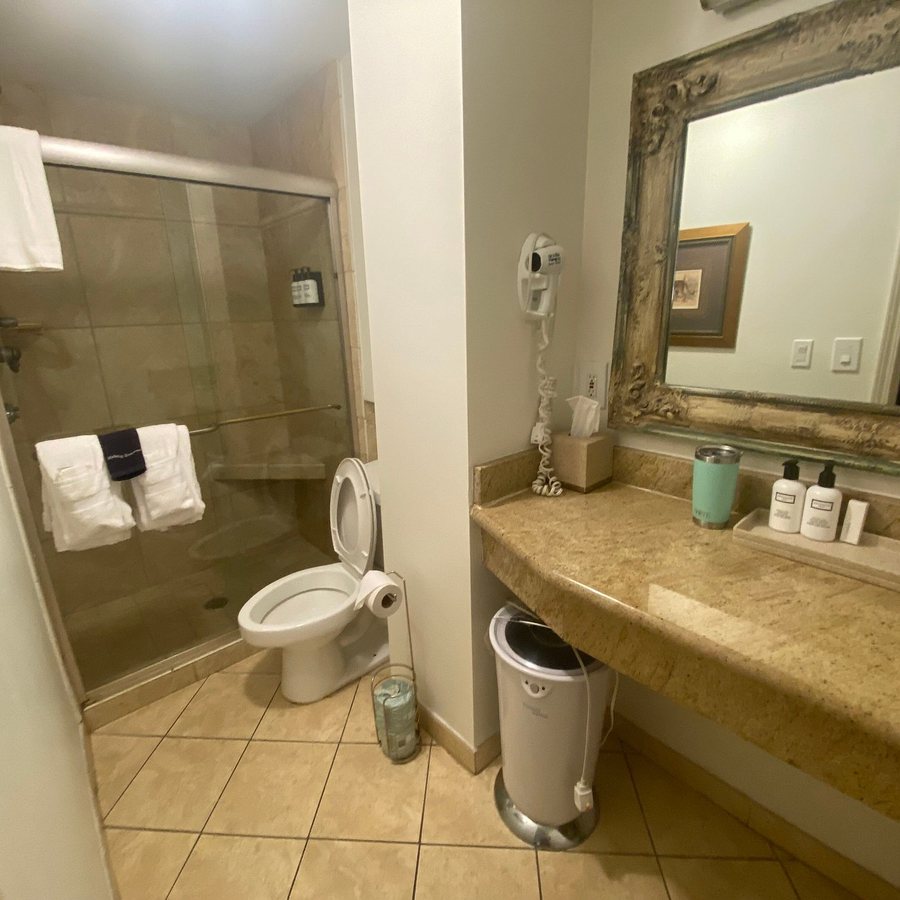 Old Capitol Inn — Bathroom