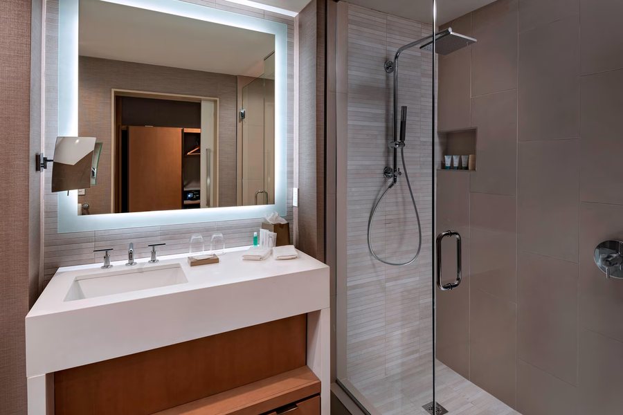Omni Las Colinas Hotel — Bathroom