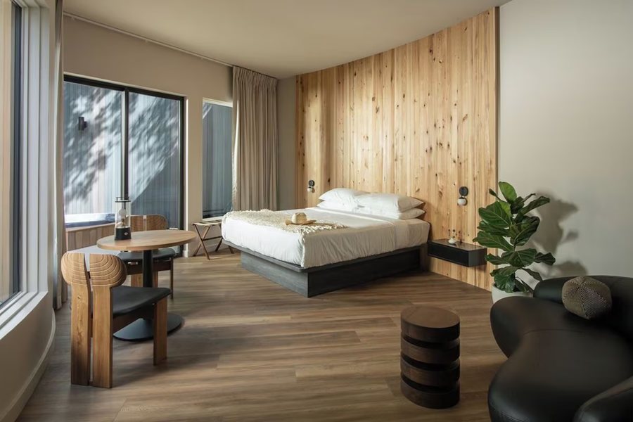 Onera Fredericksburg — Guest room