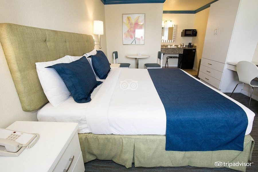 Orlando International Drive North Hotel Orlando Florida — Guest room
