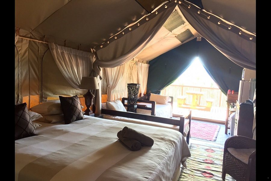 Otium Oasis Glamping Camping — Guest room