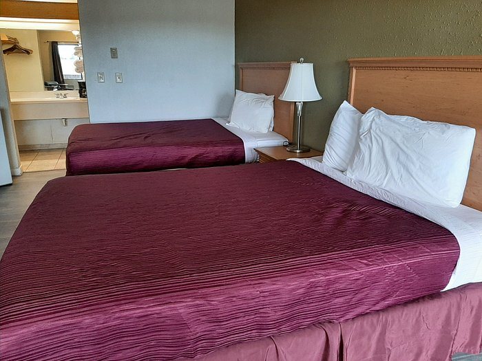 OYO Hotel Centralia — Guest room