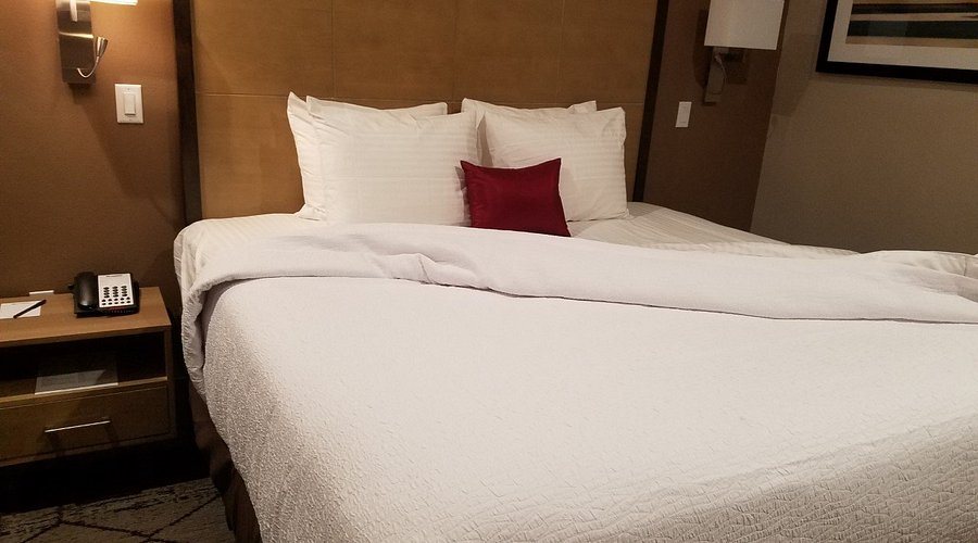 OYO Hotel Corpus Christi North I 37 — Guest room