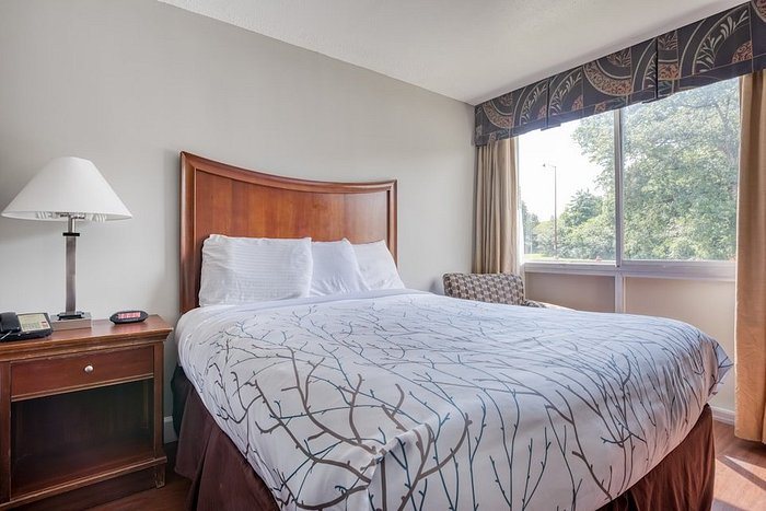 OYO Hotel Memphis TN I 40 — Guest room