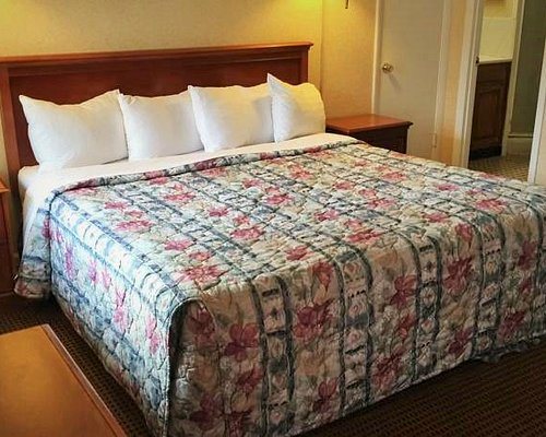Pacific Heights Inn — Guest room