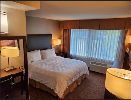 Pacific Stay Hotel — Guest room
