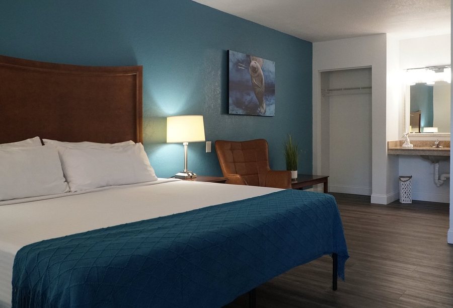 Paddletail Waterfront Lodge — Guest room