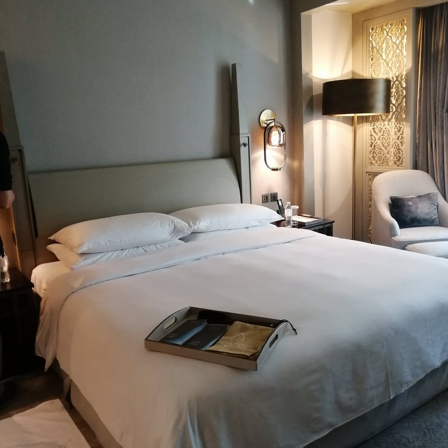 Palace Downtown — Guest room
