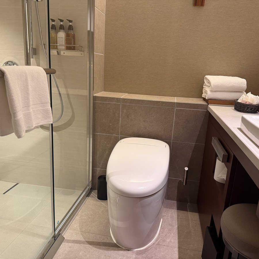Palace Hotel Tokyo — Bathroom