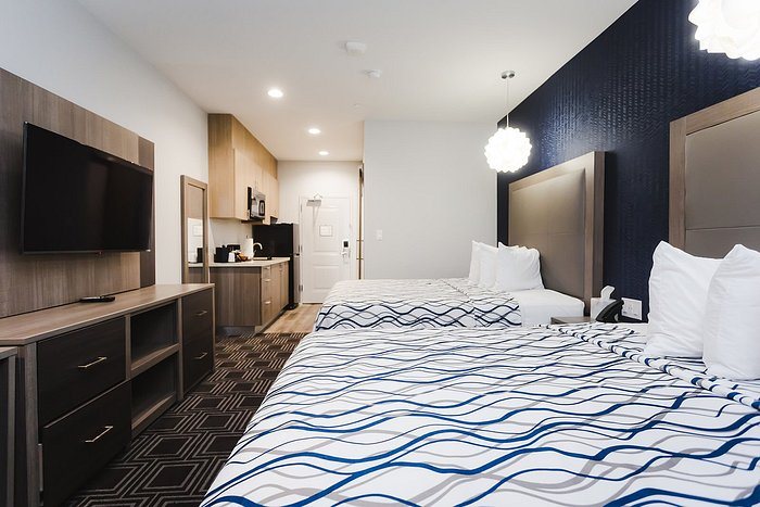 Palace Inn Blue Houston East Beltway 8 — Guest room