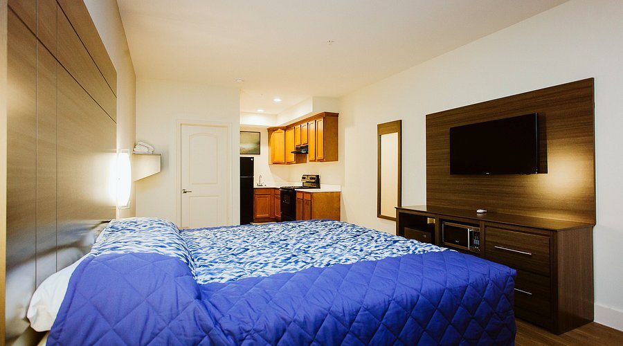Palace Inn Blue Hwy 6 Westpark Tollway — Guest room
