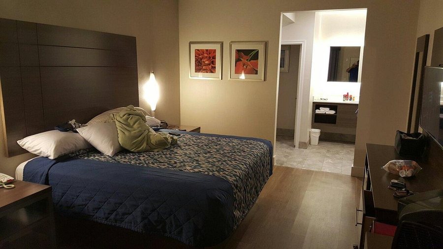 Palace Inn Blue I 45 Woodridge — Guest room