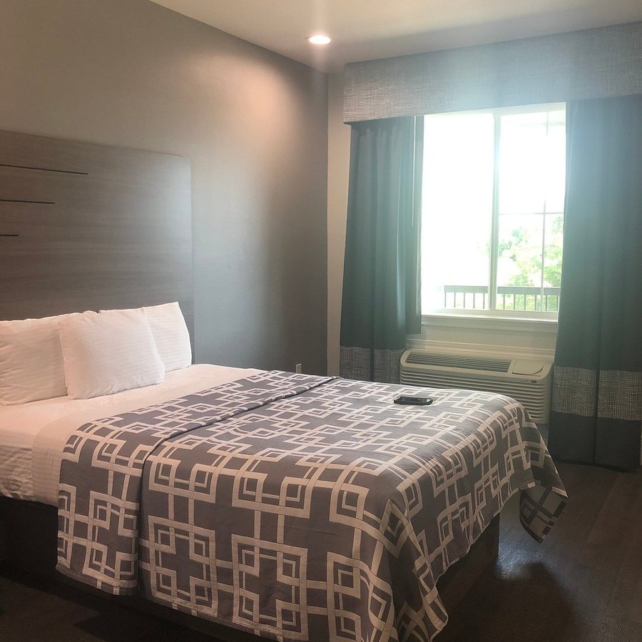 Palace Inn Blue Tomball Parkway — Guest room