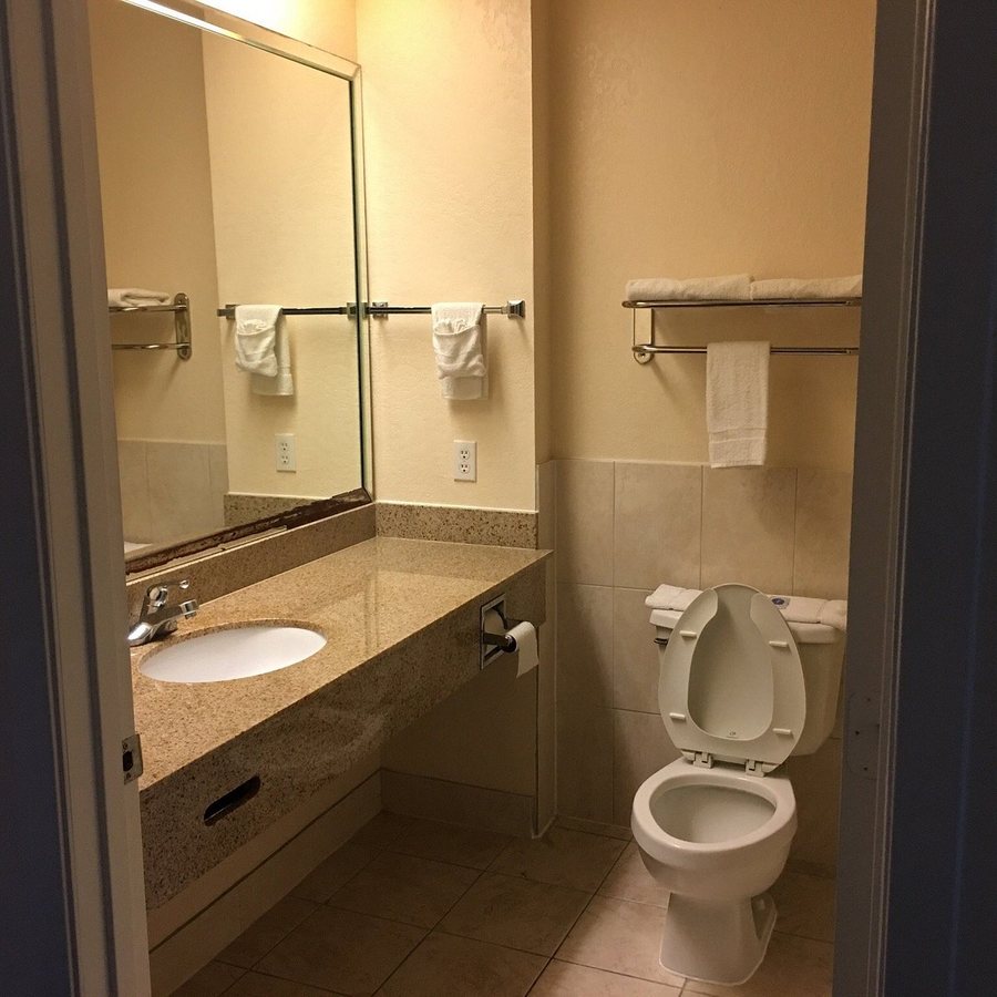 Palace Inn TX 249 — Bathroom