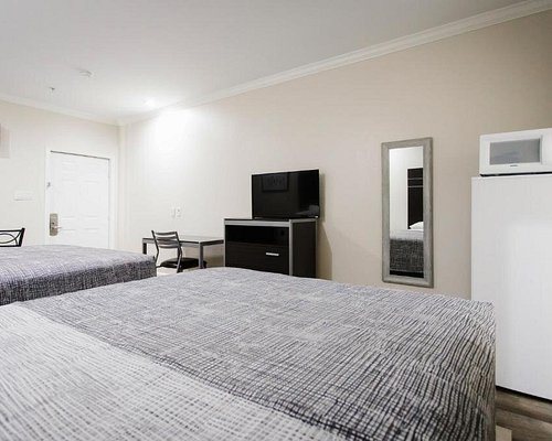 Palace Inn TX 249 — Guest room