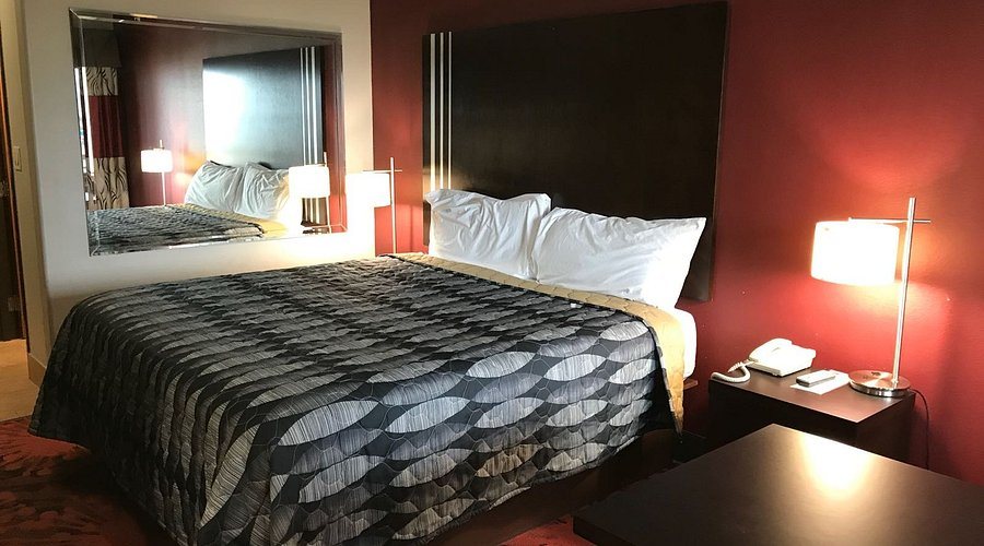 Palacio Royale Inn Houston NW Beltway 8 — Guest room