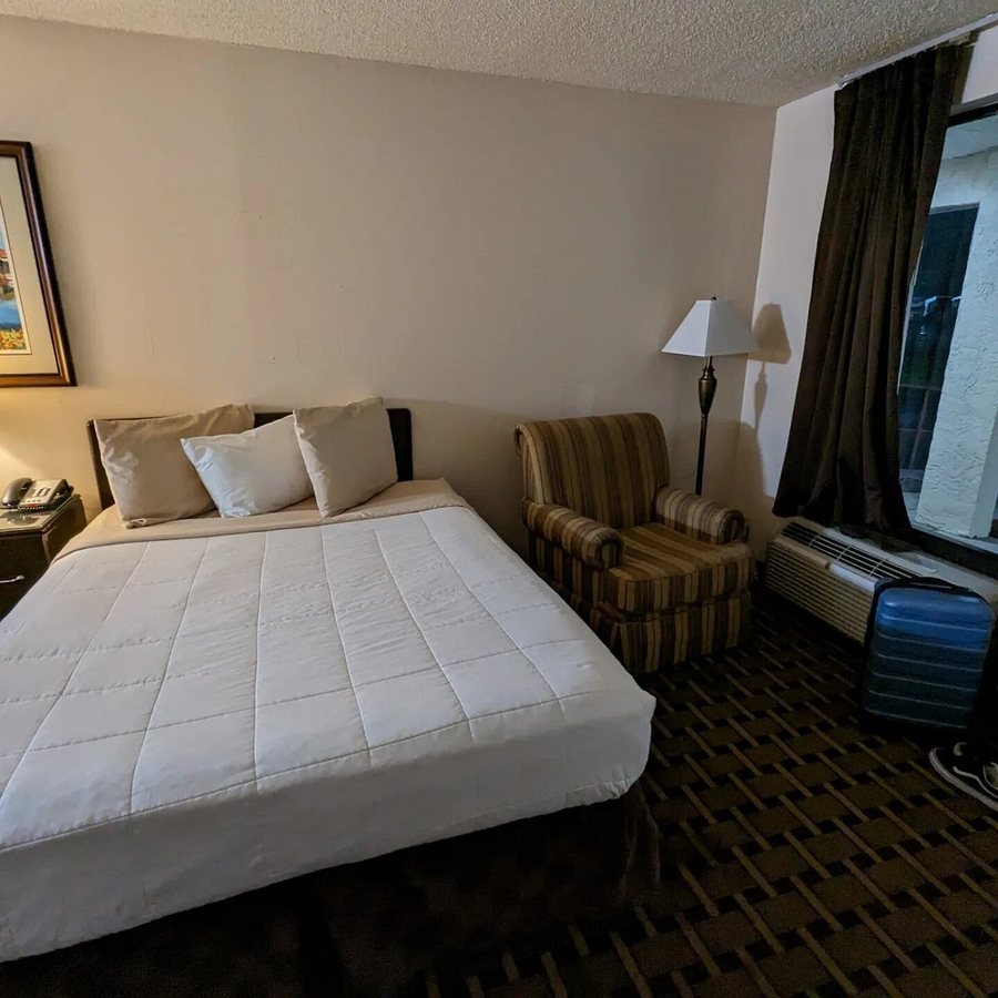 Palms Garden Inn — Guest room