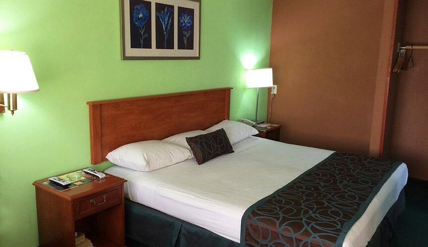 Palms Motel — Guest room