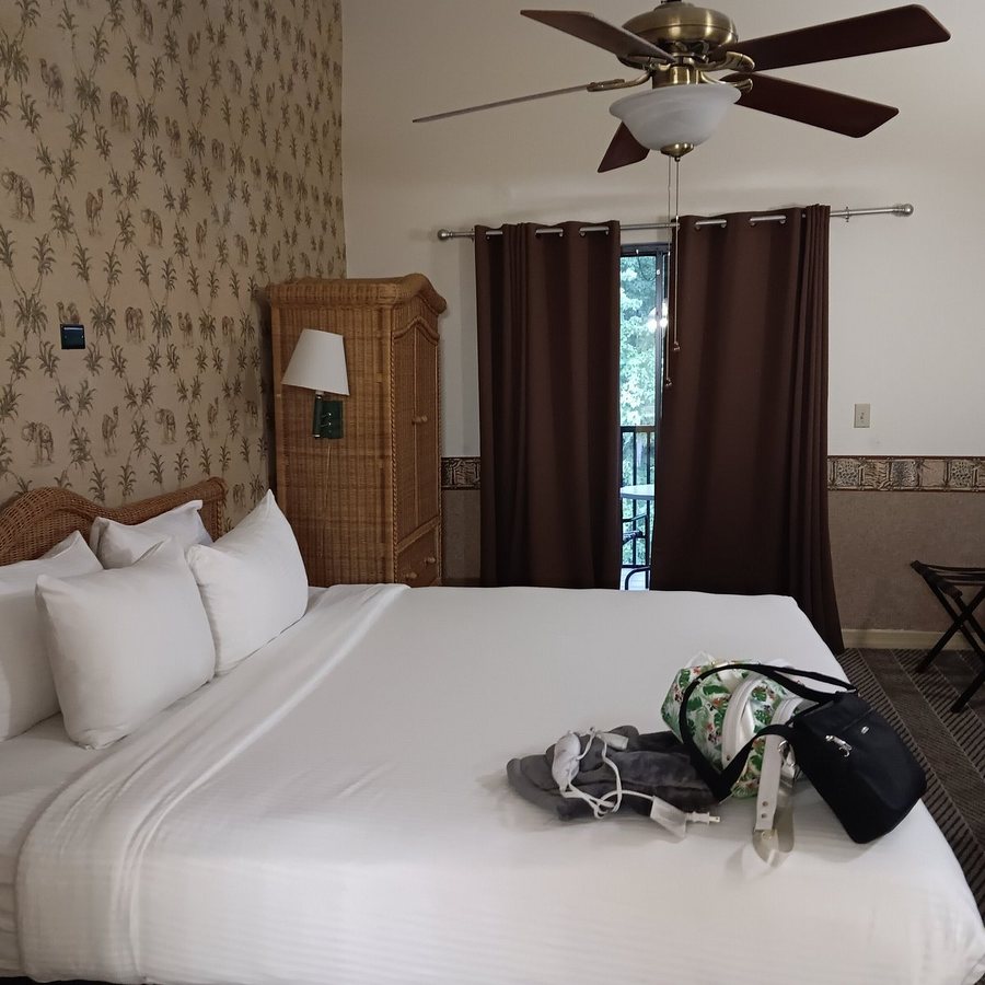 Parkway International Resort Celebration Orlando Florida — Guest room