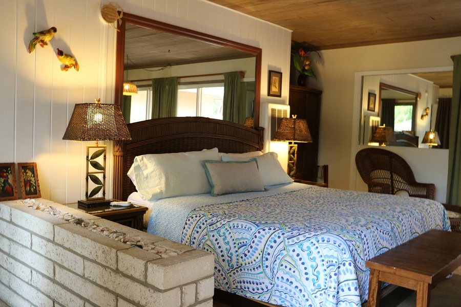 Parrot Nest — Guest room