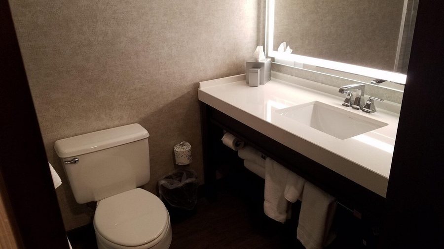 Peachtree Hotel Midtown Atlanta — Bathroom