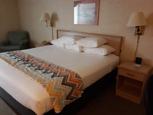 Pear Tree Inn Cape Girardeau West — Guest room