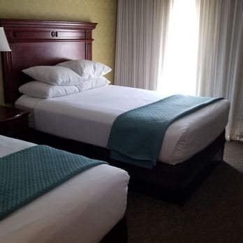 Pear Tree Inn St Louis Convention Center — Guest room