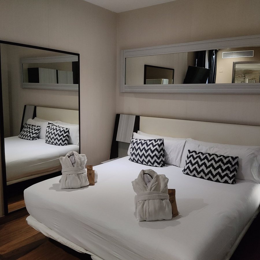 Petit Palace Triball — Guest room