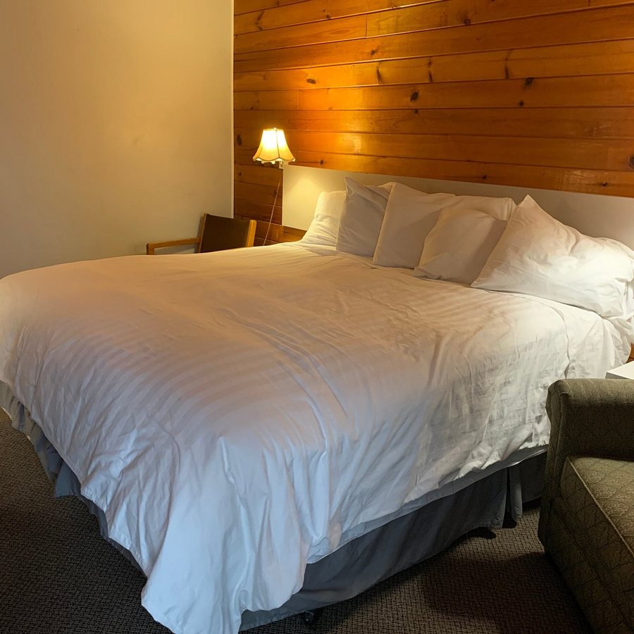 Pine Hill Motel — Guest room