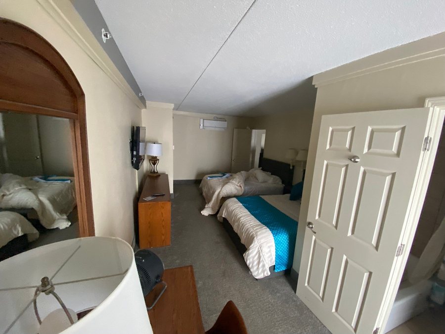Pinestead Reef Resort — Guest room