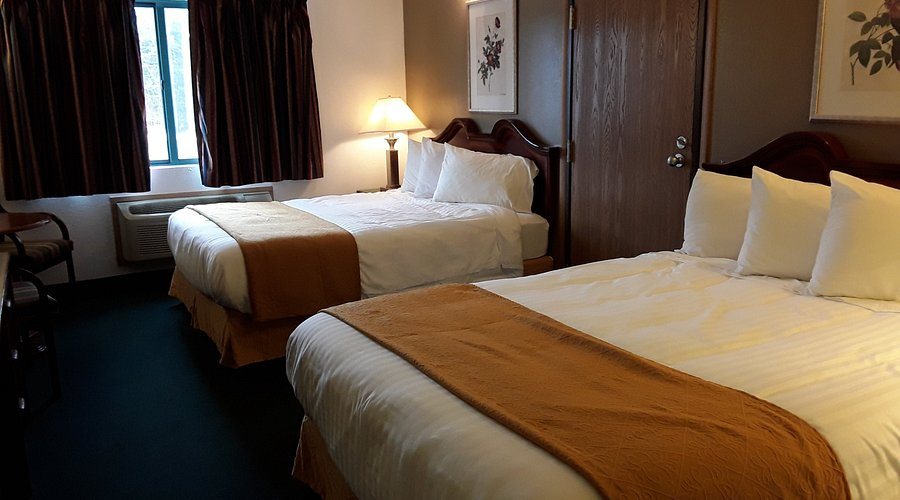 Pleasant Moose Lodge — Guest room