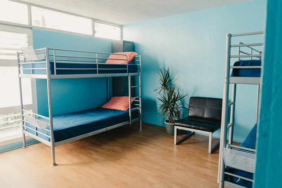 Polynesian Hostel Beach Club — Guest room