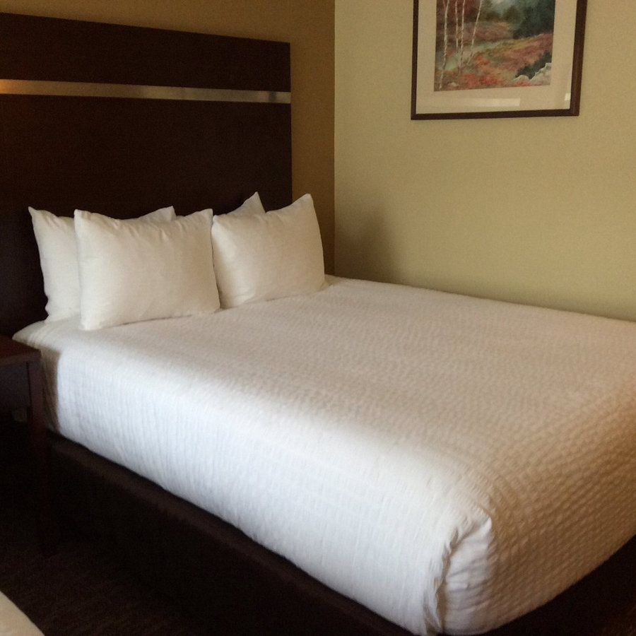 Ponderosa Inn — Guest room