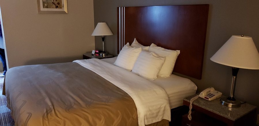 Quality Inn Airport I 240 — Guest room