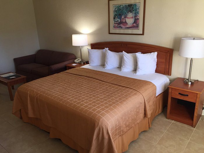 Quality Inn Airport — Guest room