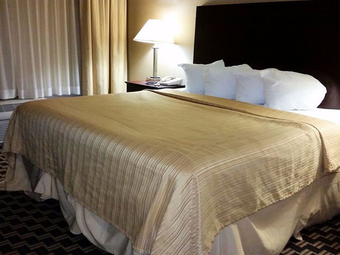 Quality Inn — Guest room