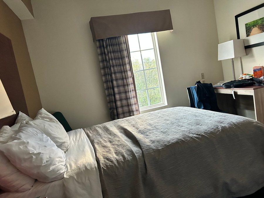 Quality Inn Alcoa Knoxville — Guest room