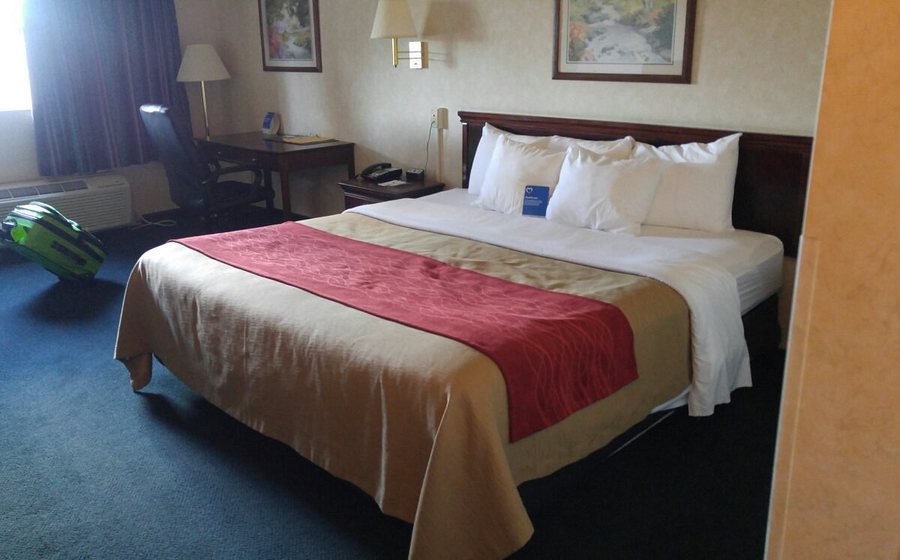 Quality Inn And Suites — Guest room
