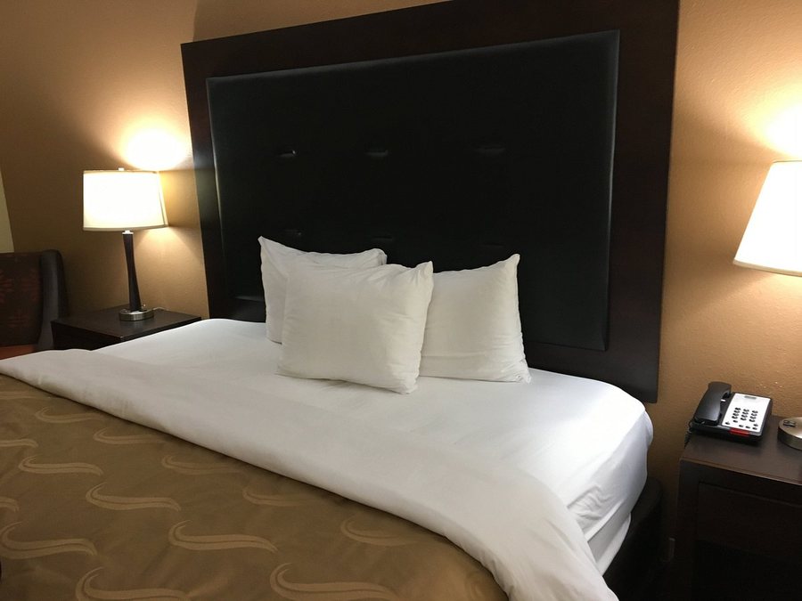 Quality Inn — Guest room